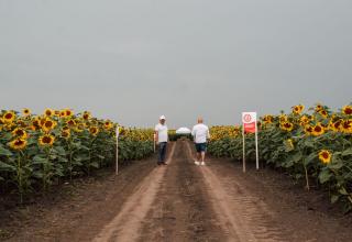 DSC_6888_res1