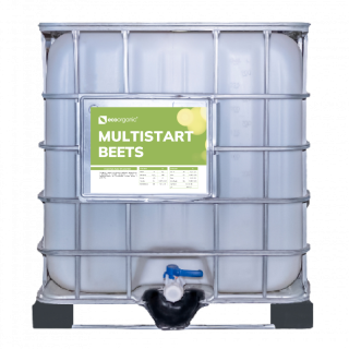 MULTISTART Beets
