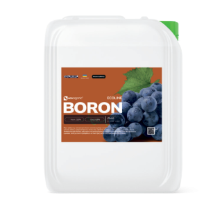 ecoline-boron-light