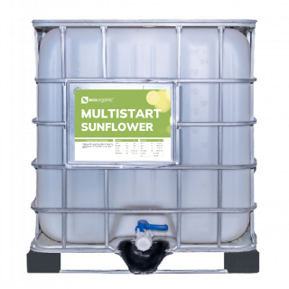 MULTISTART Sunflower