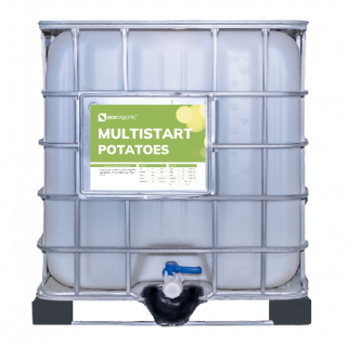 multistart-potatoes
