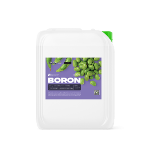 ECOLINE Boron (Opti)