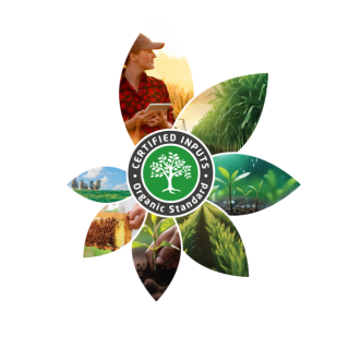 Organic Standard Certificate 2024